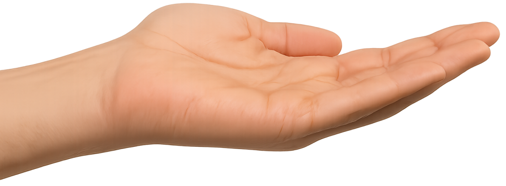hand holding nothing palm face up reverse - ChatGPT